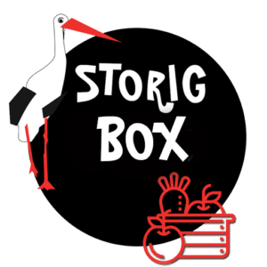 Logo Storigbox