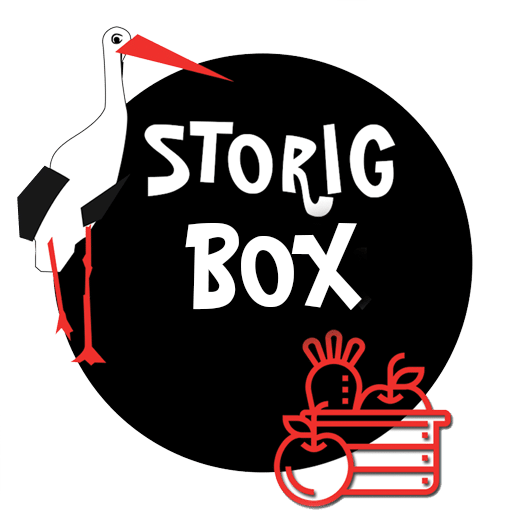 Logo Storigbox